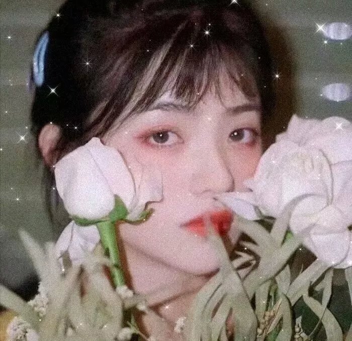 最后的飞行